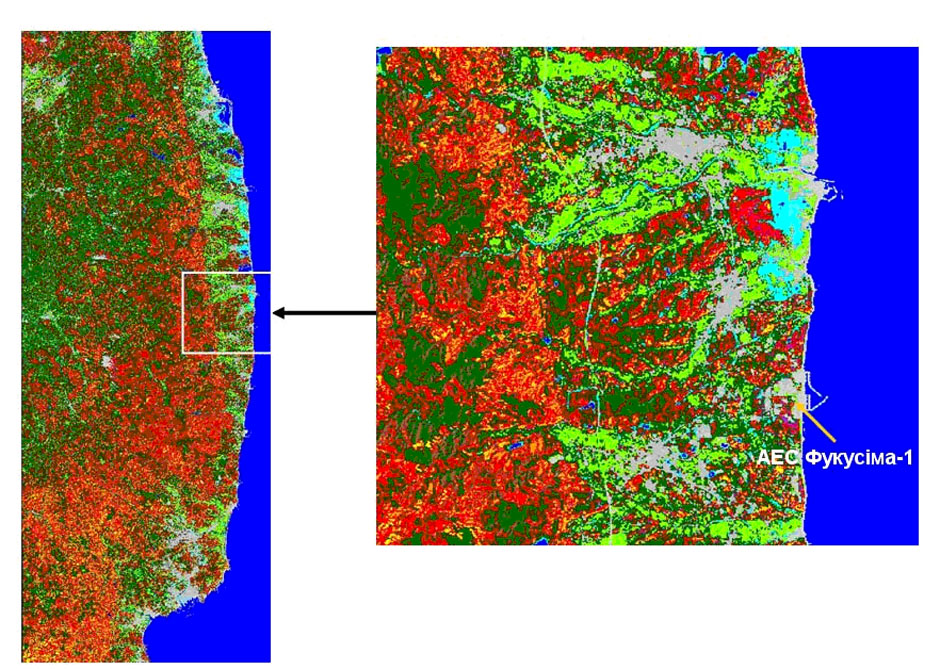 Результати класифікації рослинного покриву на основі знімка Landsat-5 (5 квітня 2011 р.) в районі АЕС Фукусіма-1 (одержано фахівцями ЦАКДЗ)